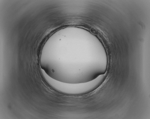 X0000111651449200908141241