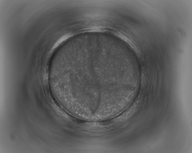 X0000111651450200908141241