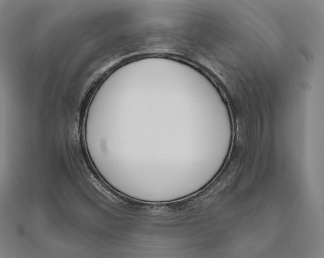 X0000111651452200908141241