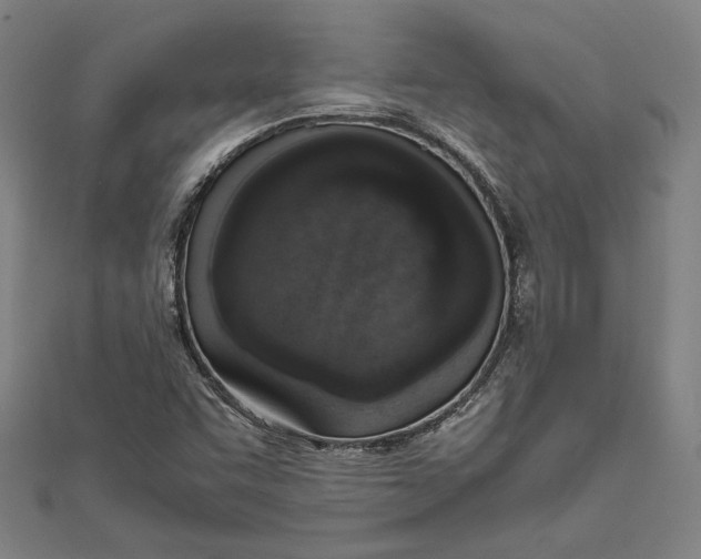 X0000111651455200908141241