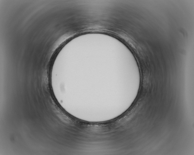 X0000111651458200908141241