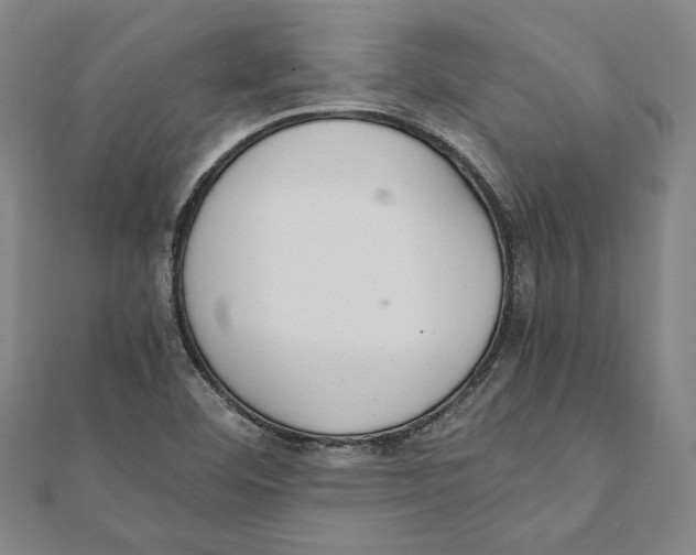 X0000111651460200908141241