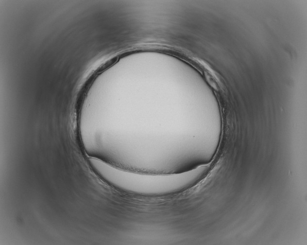 X0000111651461200908141241