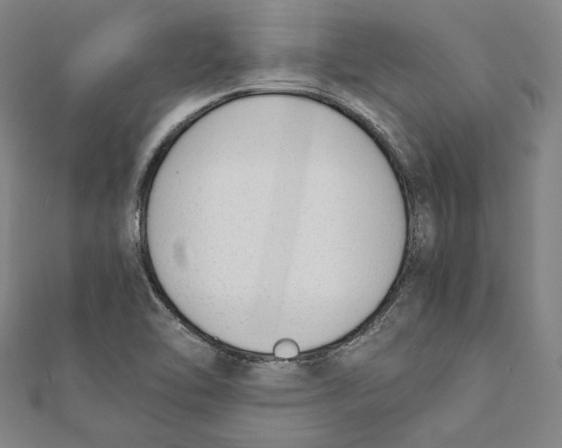 X0000111651462200908141241