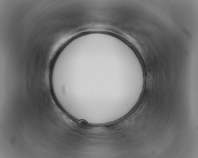 X0000111651464200908141241
