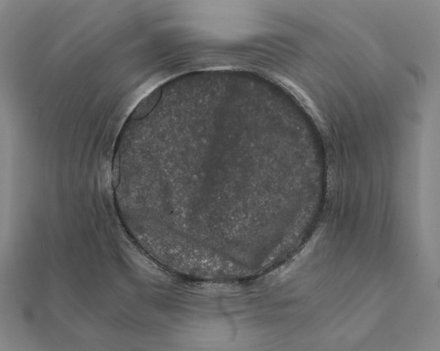 X0000111651465200908141241