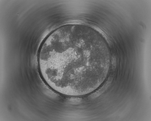 X0000111651466200908141240