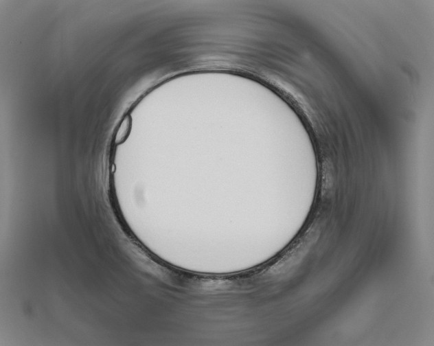 X0000111651467200908141240