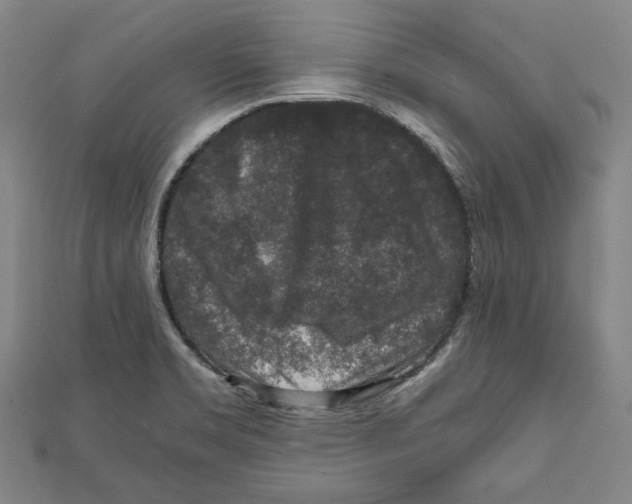 X0000111651469200908141240