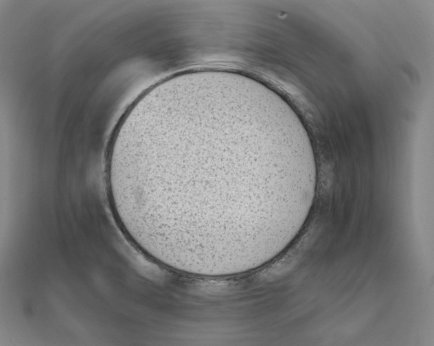 X0000111651470200908141240