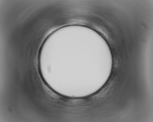X0000111651471200908141240
