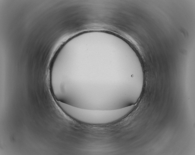 X0000111651472200908141240