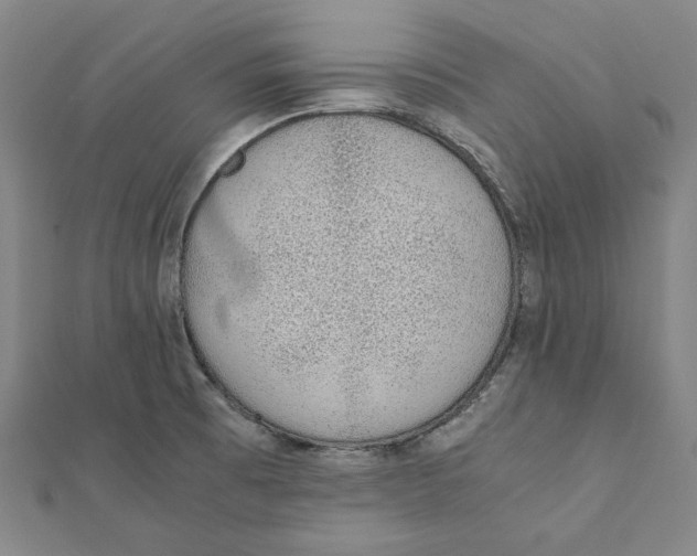 X0000111651473200908141240