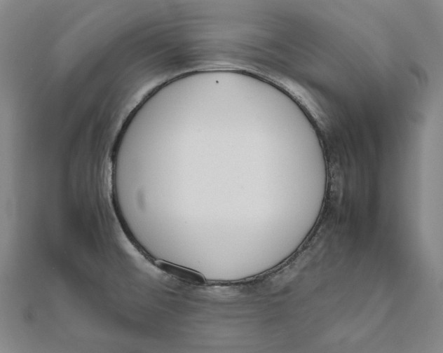 X0000111651476200908141240