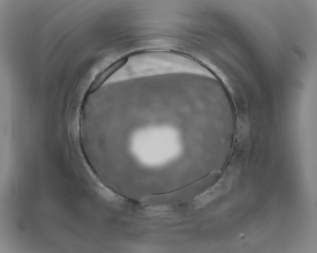 X0000111651477200908141240