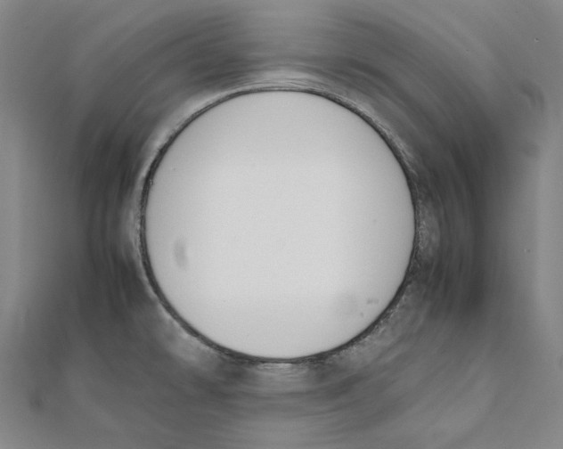 X0000111651478200908141240