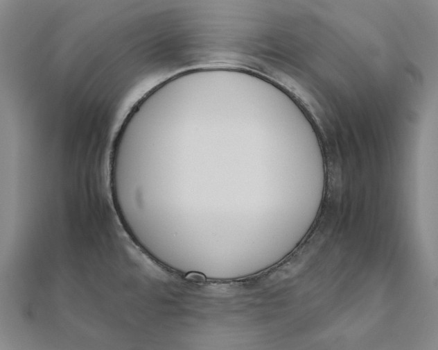 X0000111651480200908141240