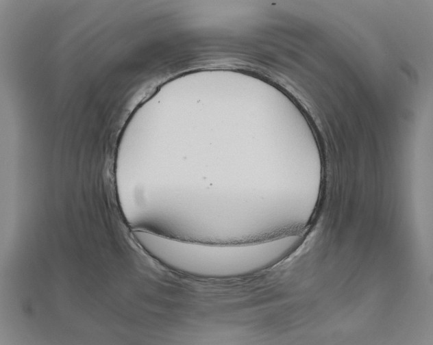 X0000111651481200908141240