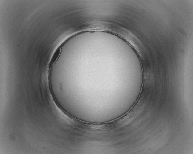 X0000111651484200908141240