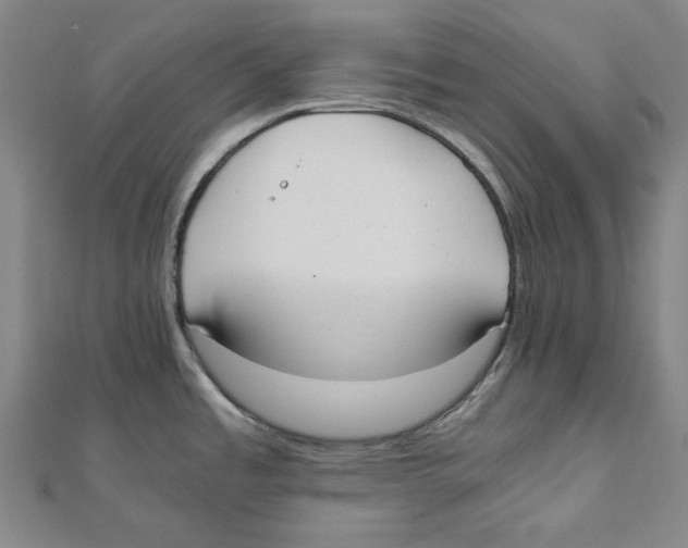 X0000111651485200908141240