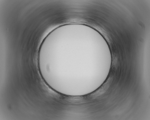 X0000111651486200908141240
