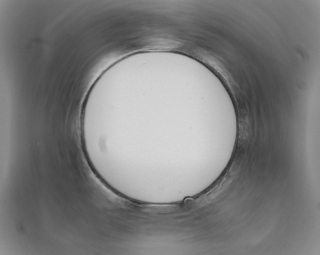 X0000111651487200908141240