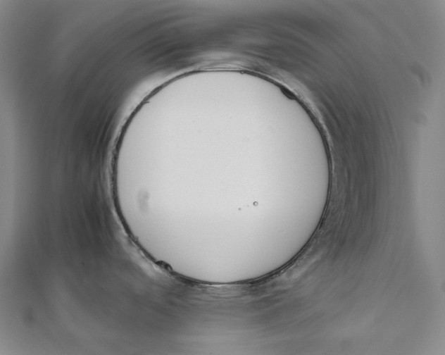 X0000111651488200908141240