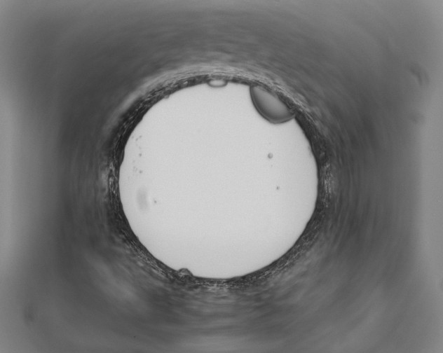 X0000111651495200908141239