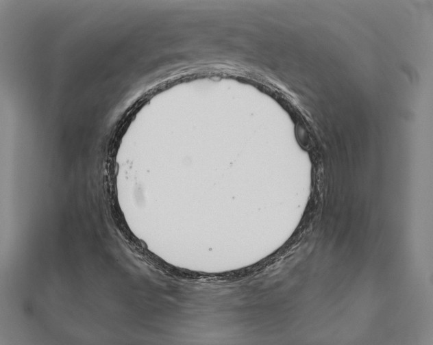 X0000111651496200908141239