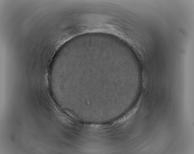 X0000111651497200908141239