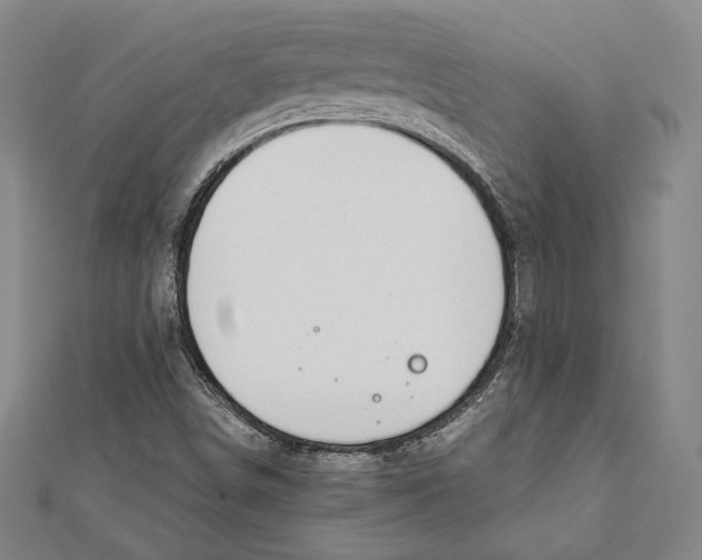 X0000111651498200908141239
