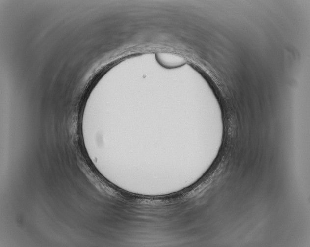X0000111651499200908141239