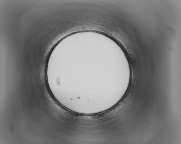 X0000111651500200908141239