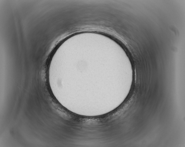 X0000111651501200908141239
