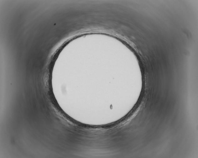 X0000111651502200908141239