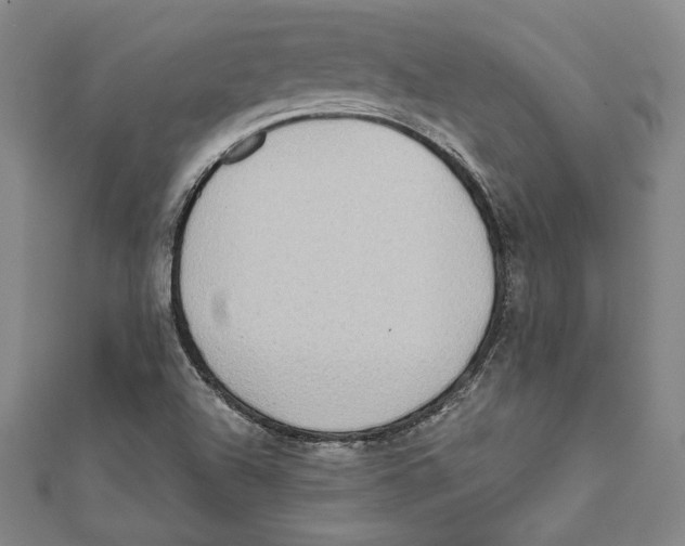 X0000111651504200908141239