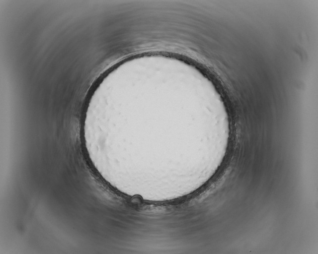 X0000111651505200908141240