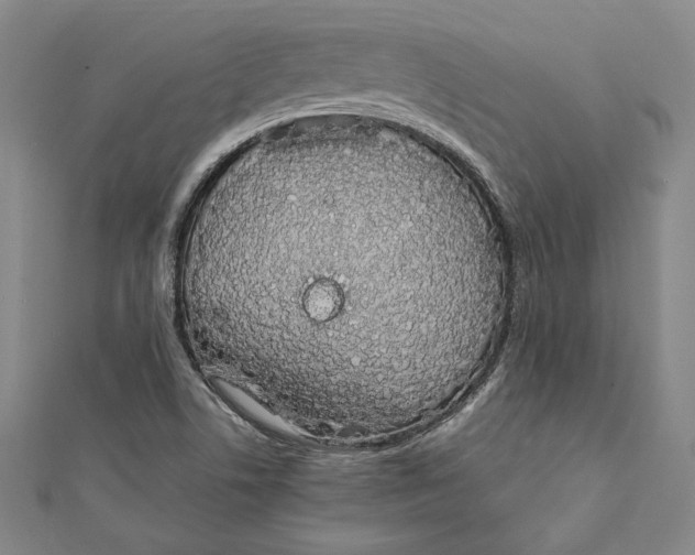 X0000111651506200908141240
