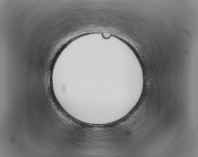 X0000111651507200908141240