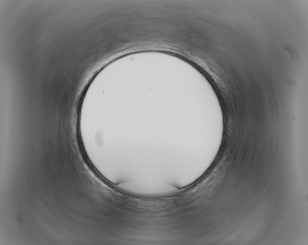 X0000111651508200908141240