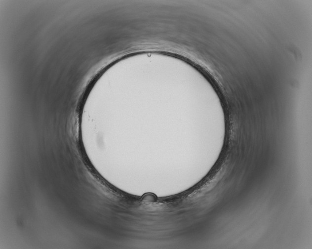 X0000111651509200908141240