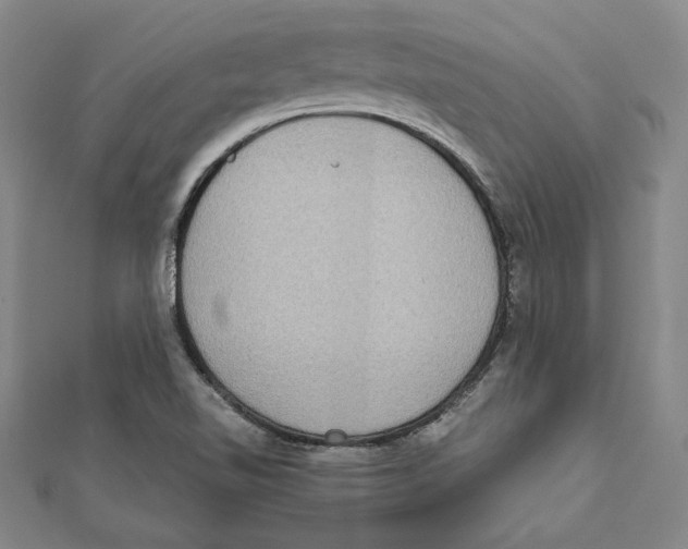 X0000111651510200908141240