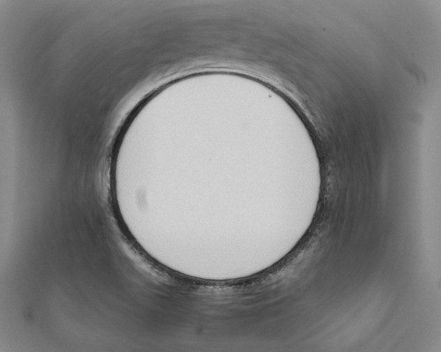 X0000111651511200908141240
