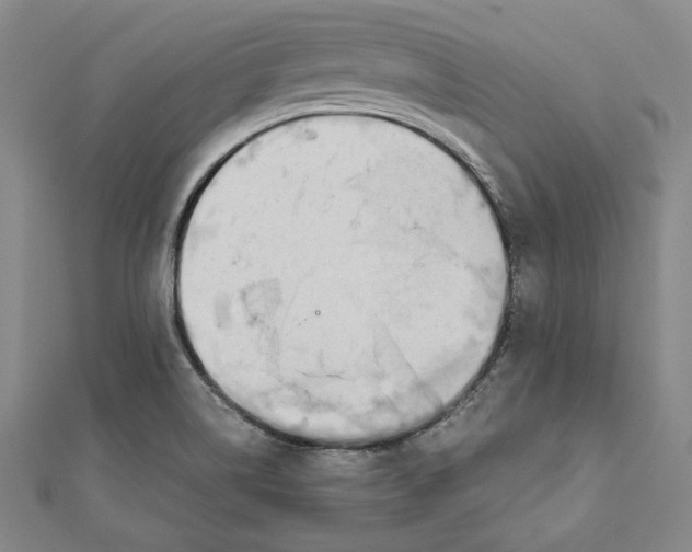 X0000111651514200908141240