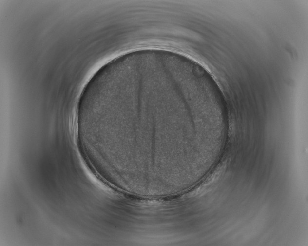 X0000111651515200908141240