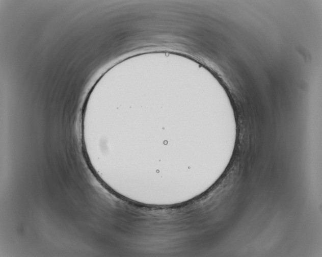 X0000111651516200908141240