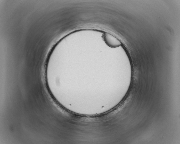 X0000111651517200908141240