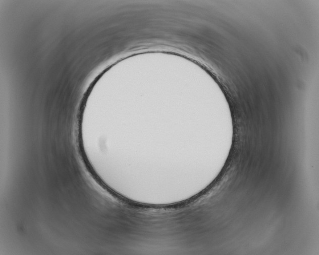X0000111651518200908141240