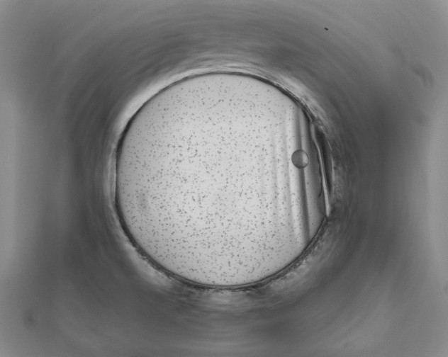 X0000111651520200908141240