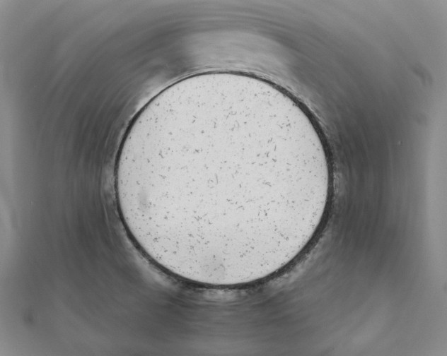 X0000111651521200908141240
